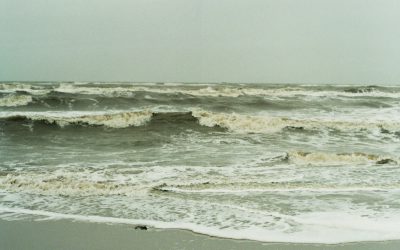 Å komme hjem er å komme til havet