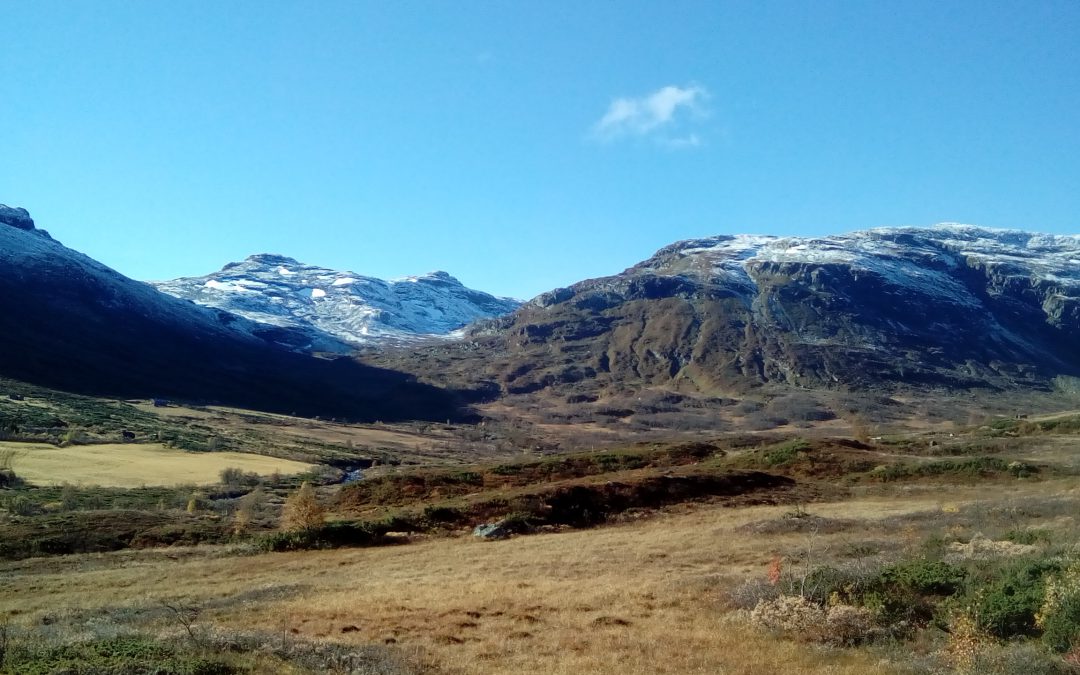 Bokhøsten, så langt